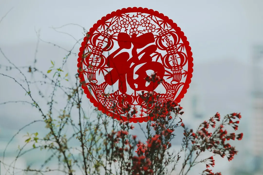武汉家政服务选择指南：月嫂与保姆的职责差异及适用场景解析