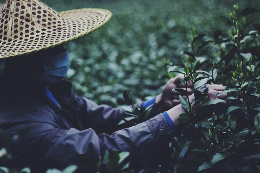 武汉家政服务选择指南：月嫂与保姆的职责差异及适用场景解析
