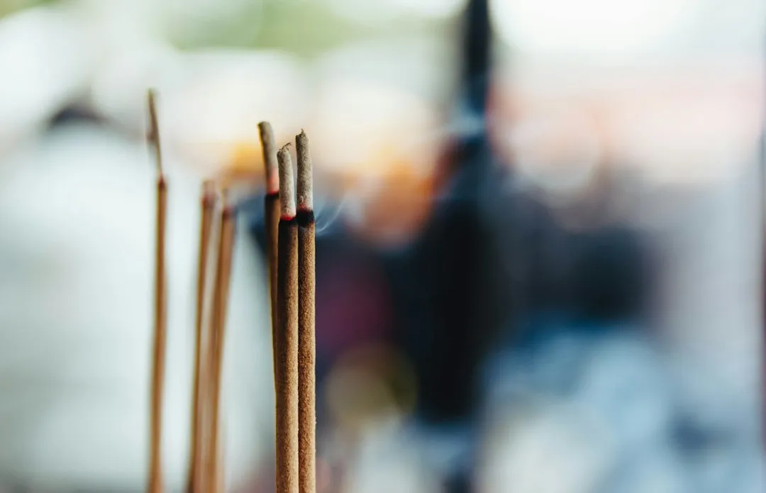 武汉家政服务选择指南：月嫂与保姆的职责差异及适用家庭场景解析