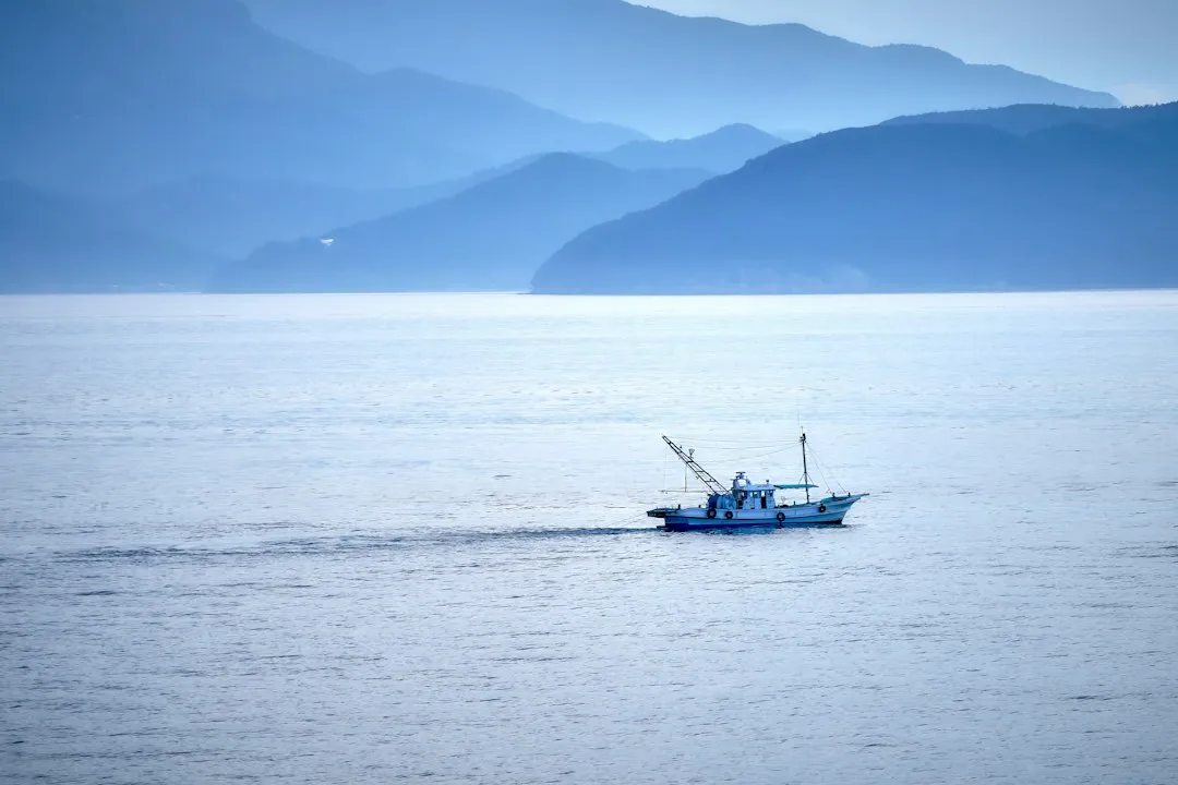武汉家政服务标准解析：美祥家政保洁流程与验收规范详解