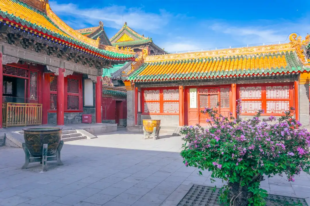 武汉家庭保洁服务怎么选？美祥家政标准化流程与验收标准解析